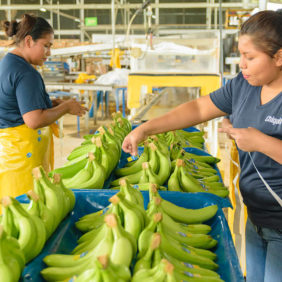 Women’s empowerment and Chiquita