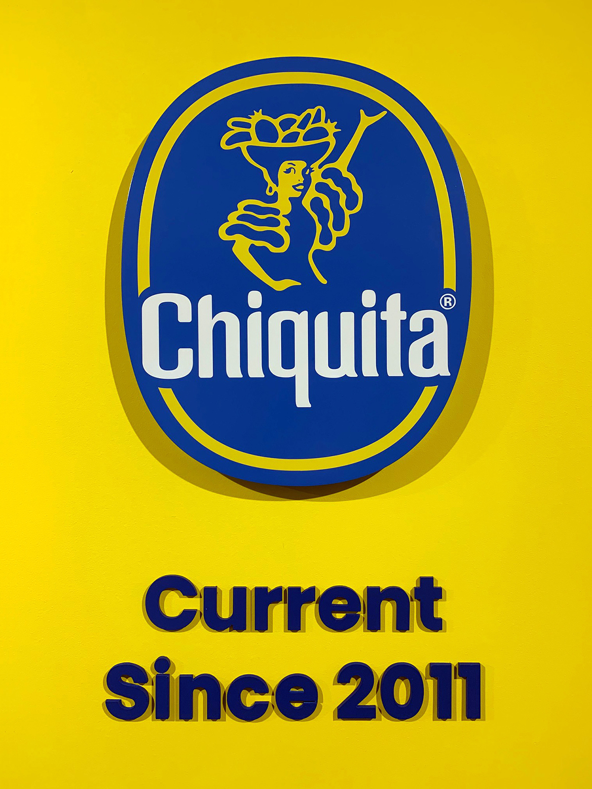 Our iconic Blue Sticker