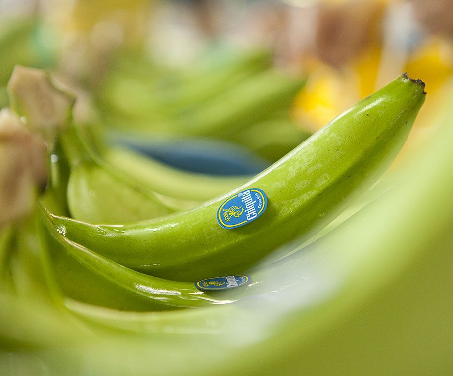 Chiquita Banana Brand - Sustainability